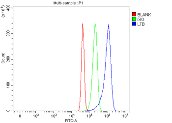Anti-Ltb Antibody