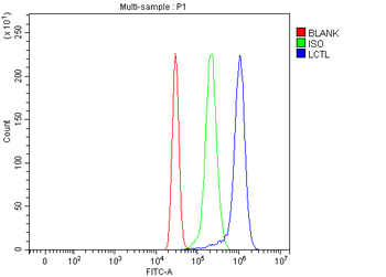 Anti-LCTL Antibody
