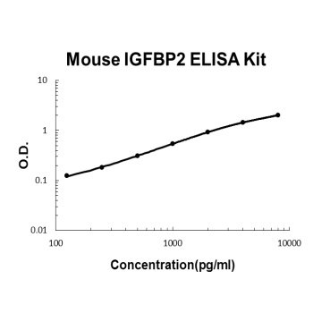 Mouse IGFBP2 ELISA Kit