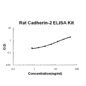 Rat N-Cadherin-2 CDH2 CD325 ELISA Kit