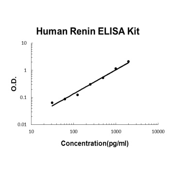 Human Renin / Prorenin ELISA Kit