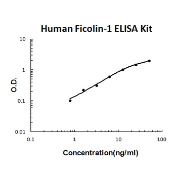 Human Ficolin-1 / FCN1 / M Ficolin ELISA Kit