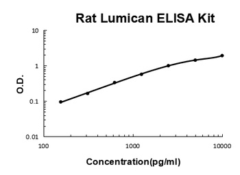 Rat Lumican ELISA Kit