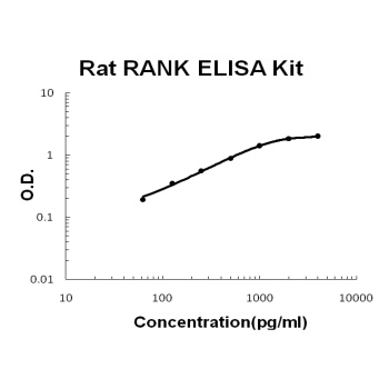 Rat RANK ELISA Kit