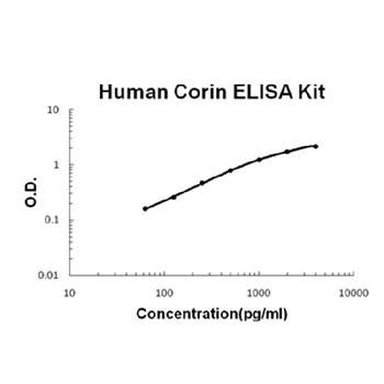 Human Corin ELISA Kit