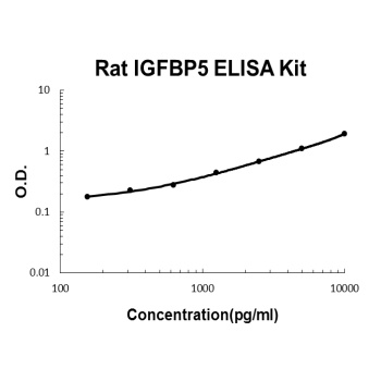 Rat IGFBP5 ELISA Kit
