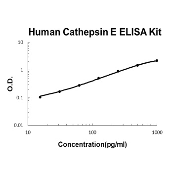 Human Cathepsin E ELISA Kit
