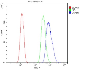 Cyclin D1/CCND1 Antibody