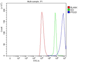 COX1/Cyclooxygenase 1/PTGS1 Antibody