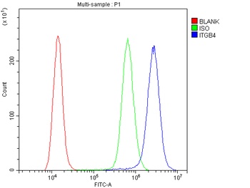 Integrin beta 4/ITGB4 Antibody