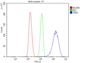 P53/TP53 Antibody