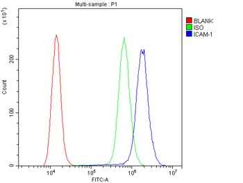 Anti-ICAM1 Antibody