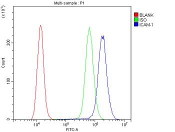 ICAM1 Antibody