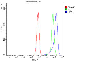 Anti-ITPA Antibody
