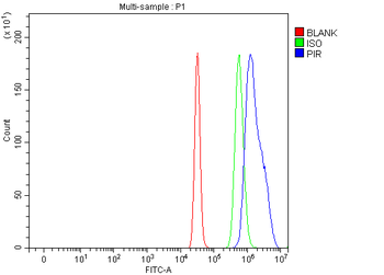 Anti-PIR Antibody