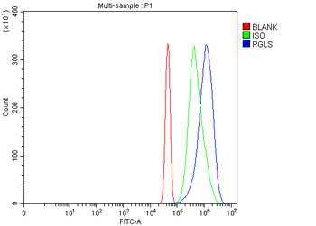 Anti-PGLS Antibody