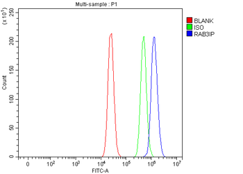 Anti-RAB3IP Antibody