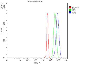 Anti-NF45/ILF2 Antibody