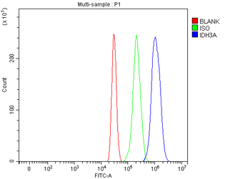 Anti-IDH3A Antibody