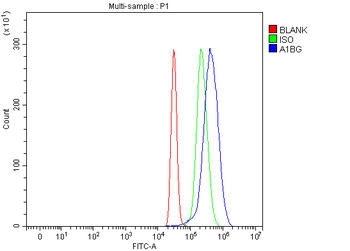 Anti-Alpha 1B-Glycoprotein/A1BG Antibody