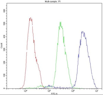 BID Antibody