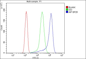 Anti-ARA9/AIP Antibody