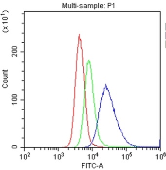 Anti-CD20/MS4A1 Antibody