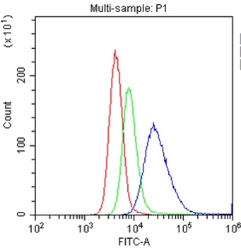 CD20/MS4A1 Antibody