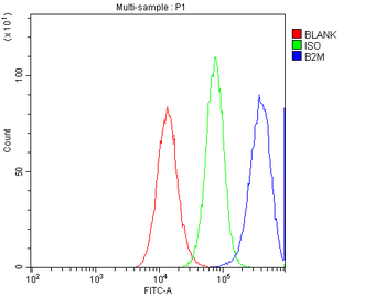 Anti-Beta 2 Microglobulin/B2M Antibody