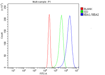 Anti-Hemoglobin/HBA1/HBA2 Antibody