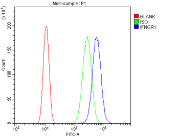 Anti-IFNGR1 Antibody