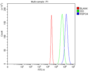 Anti-RSPO4 Antibody