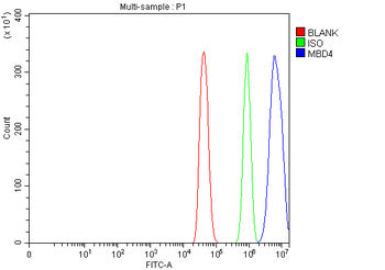 Anti-Mbd4 Antibody