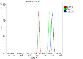Anti-CD300A Antibody