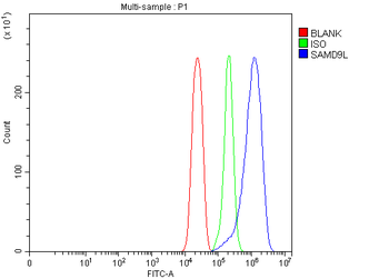 Anti-SAMD9L Antibody