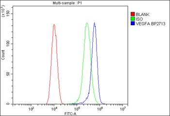 Anti-VEGF/VEGFA Antibody