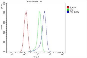 Anti-CBL Antibody