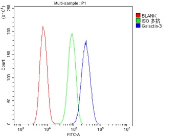 Anti-Galectin 3/LGALS3 Antibody