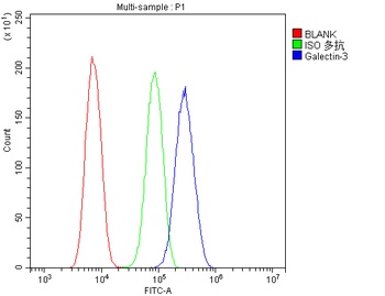 Galectin 3/LGALS3 Antibody