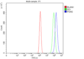 Anti-PGM2 Antibody