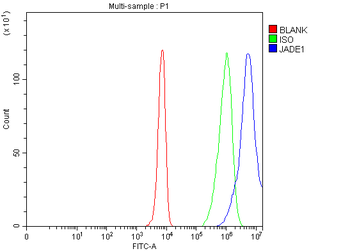 Anti-JADE1 Antibody