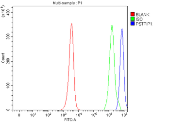 Anti-PSTPIP1 Antibody