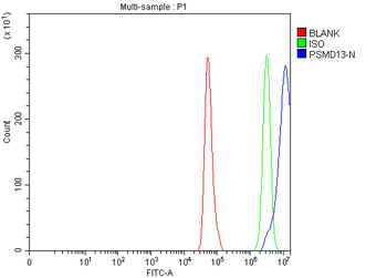 Anti-PSMD13 Antibody