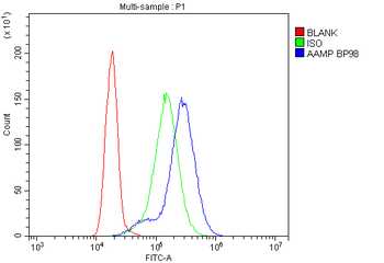 Anti-AAMP CCL18 Antibody