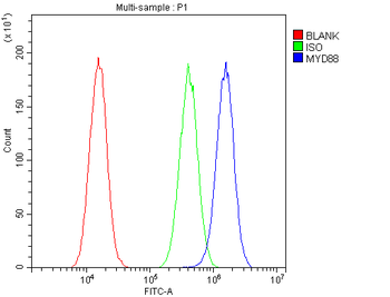 Anti-MyD88 Antibody