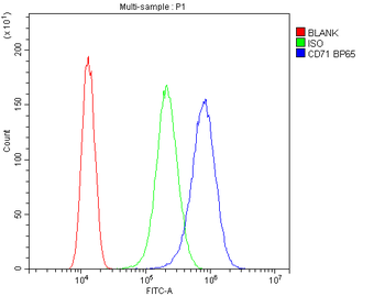 Anti-Transferrin Receptor/TFRC Antibody