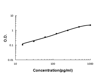 Anti-Interleukin-13 IL13 Antibody