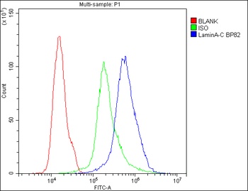 Lamin A+C/LMNA Antibody