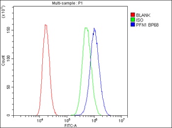 Profilin 1/PFN1 Antibody
