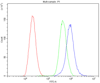 Anti-CaV1.3/CACNA1D Antibody